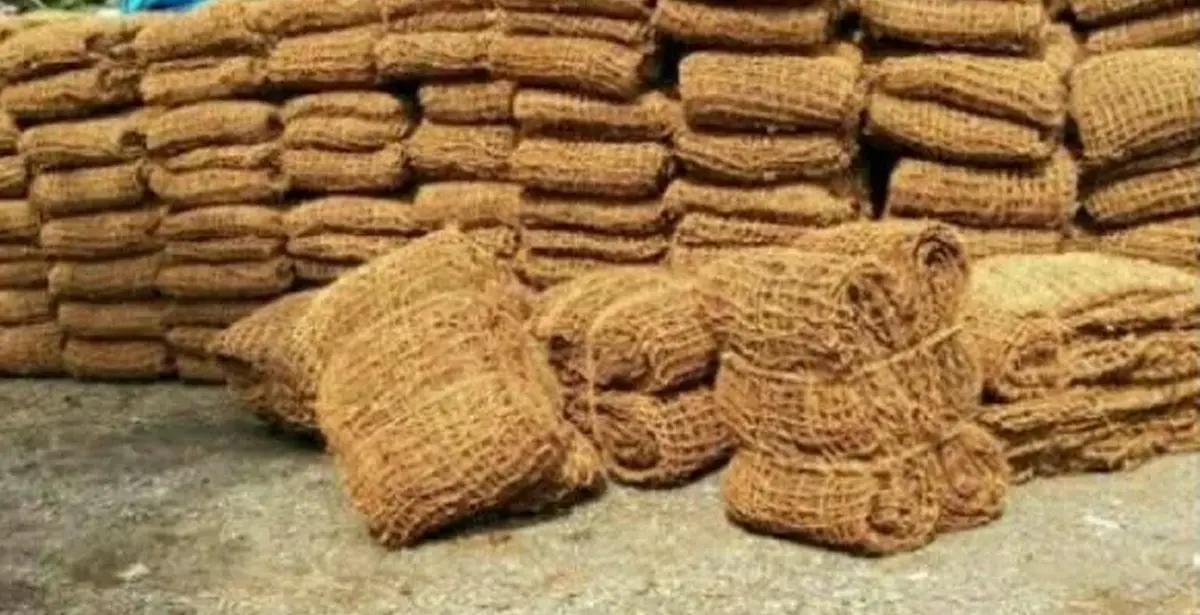 Cocomesh Biodegradable: Solusi Alam untuk Erosi