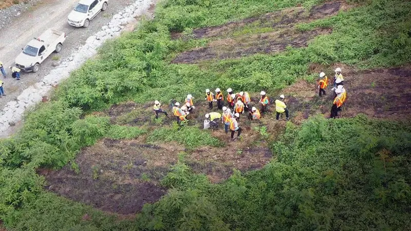 Cocomesh untuk Revegetasi Lahan Solusi Pemulihan Ekosistem
