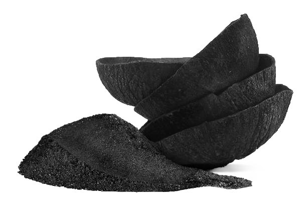 coconut charcoal reseller opportunities in Indonesia