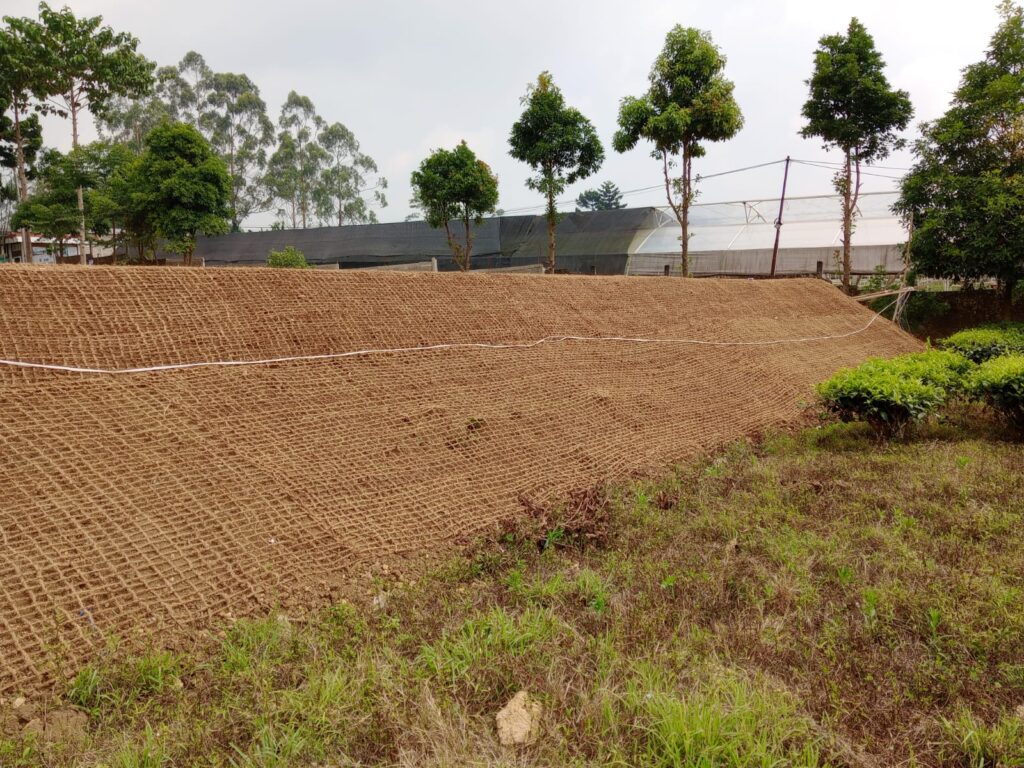 Program Pelatihan Produksi Cocomesh di Daerah Desa