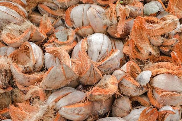 Cocomesh Sabut Kelapa Alami