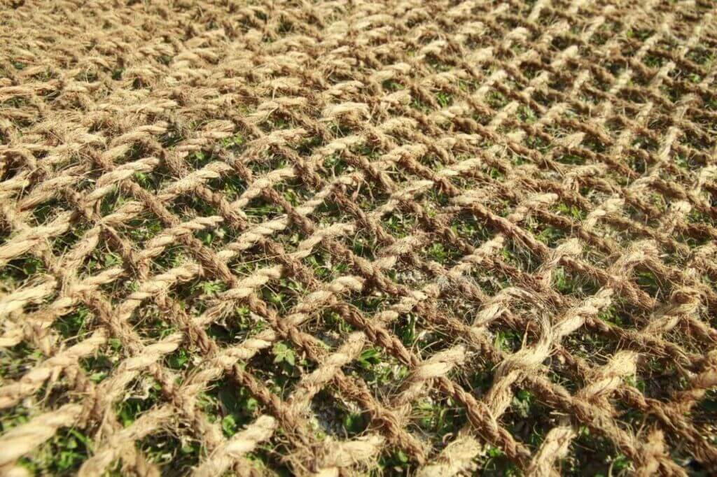 Cocomesh Revegetasi Lahan: Solusi Alami Mempercepat Pemulihan Ekosistem