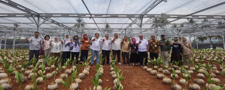 Konsentrasi Perkebunan Kelapa Nasional sebagai Sumber Bahan Baku Industri