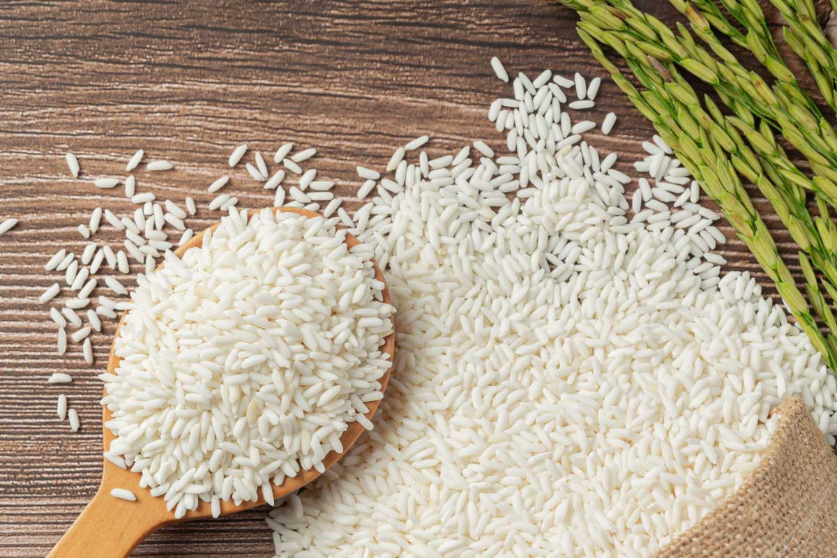 Peluang Bisnis Beras Premium Strategi Cerdas Raih Keuntungan