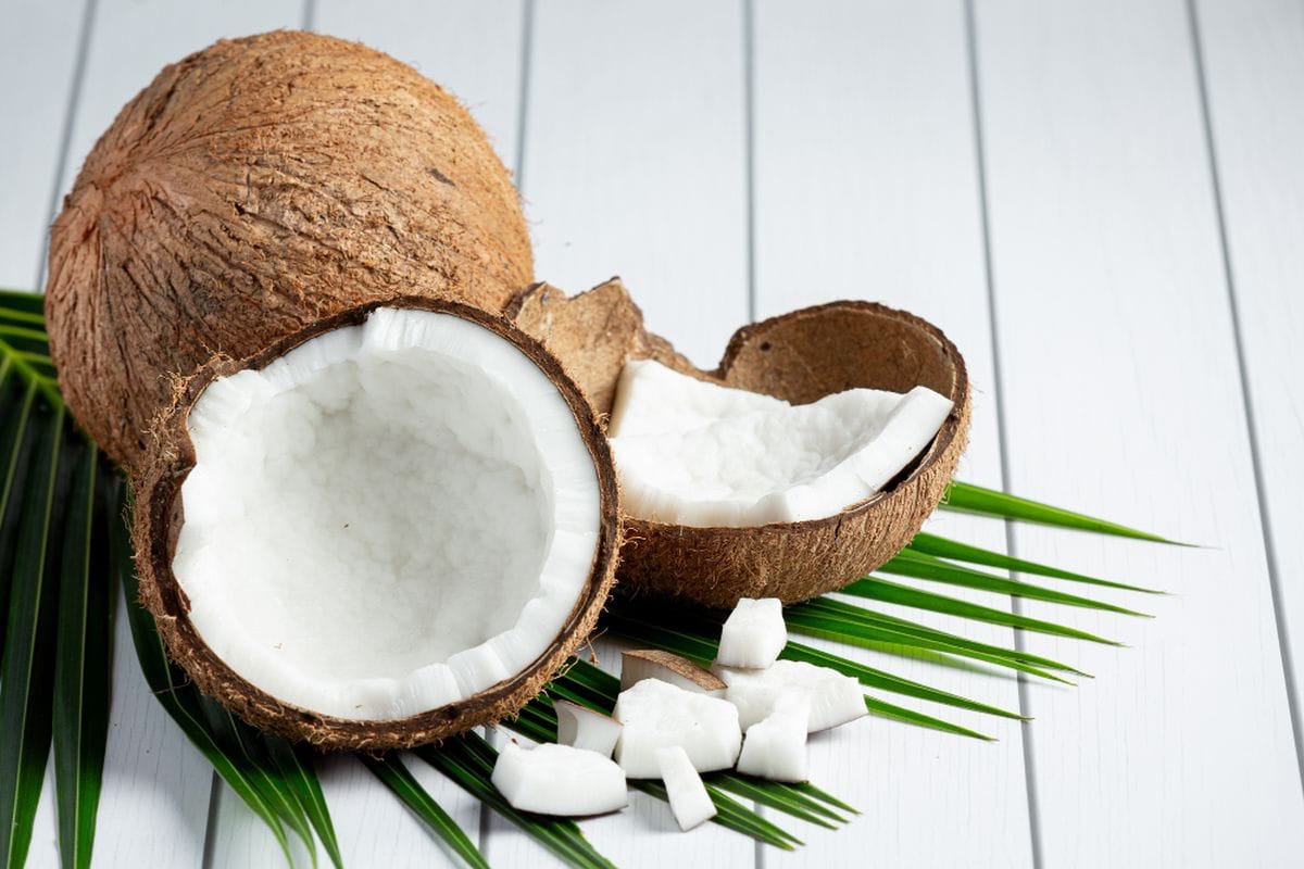 Cara Parut Kelapa Tanpa Capek Rahasia Praktis Hemat Tenaga untuk Hasil Maksimal