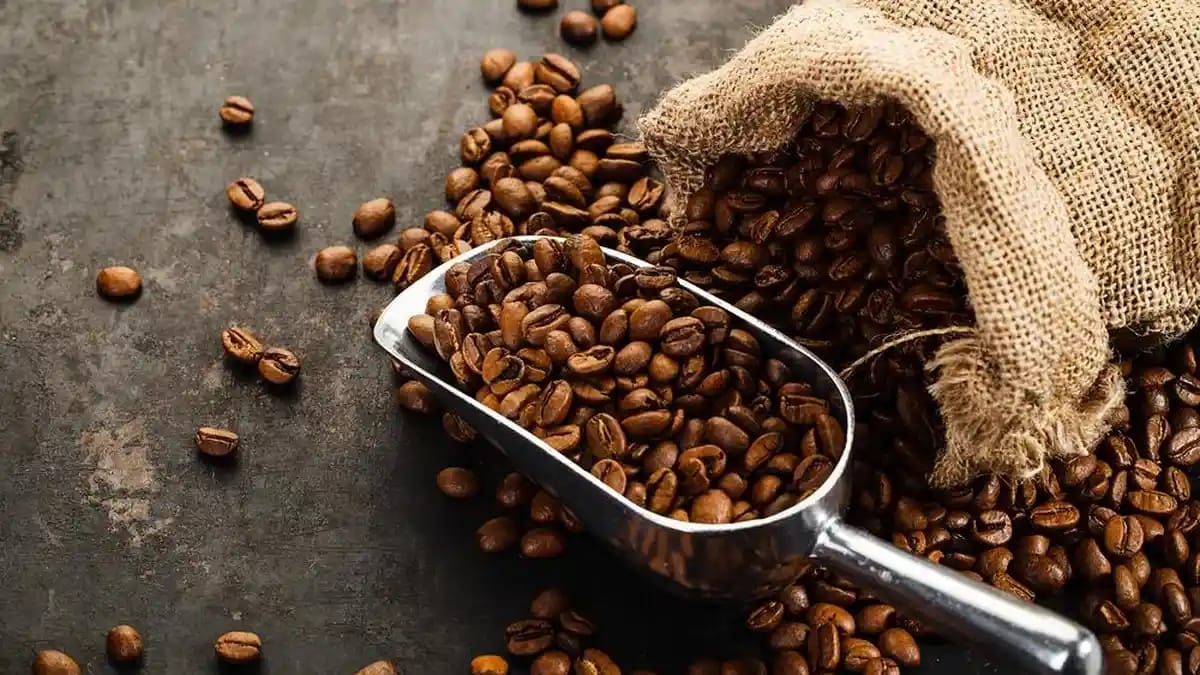 Usaha Pengolahan Biji Kopi Peluang Bisnis Menjanjikan di Industri Kopi Modern