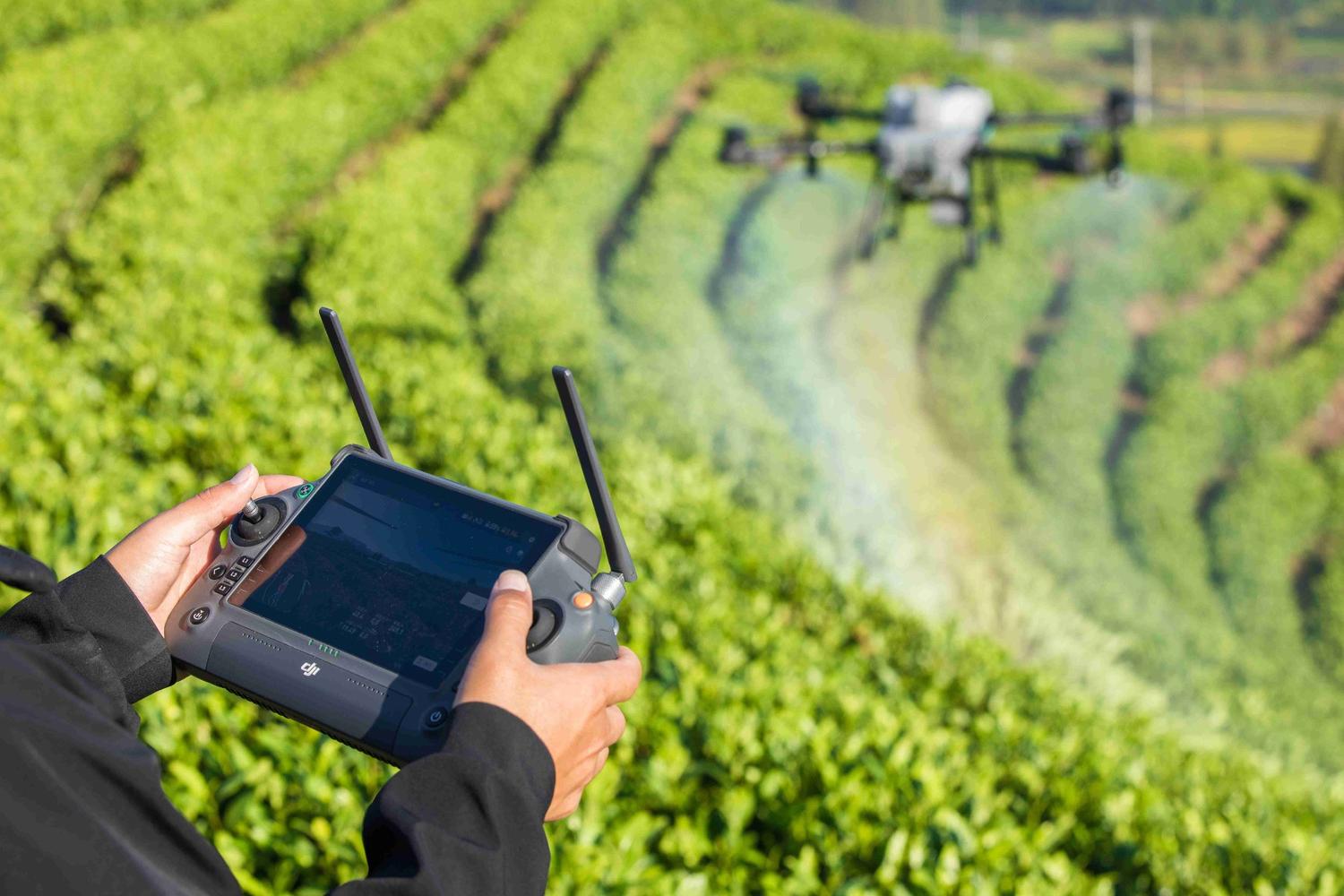 manfaat drone sprayer untuk perkebunan