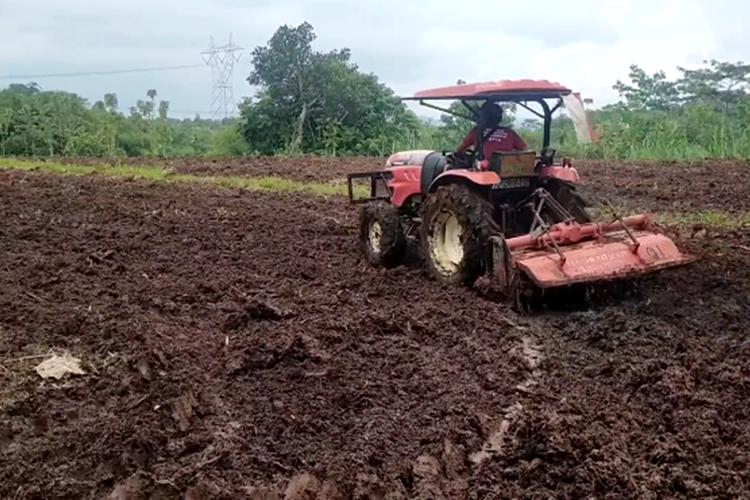 Cara Menyiapkan Lahan Sebelum Tanam untuk Hasil Maksimal