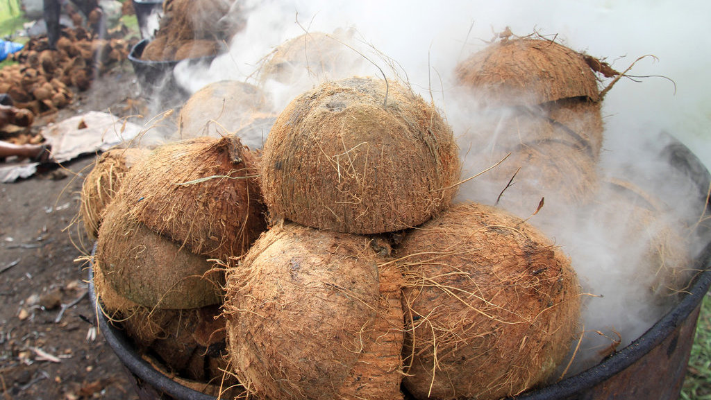 Cara Mengolah Batok Kelapa Menjadi Produk Bernilai