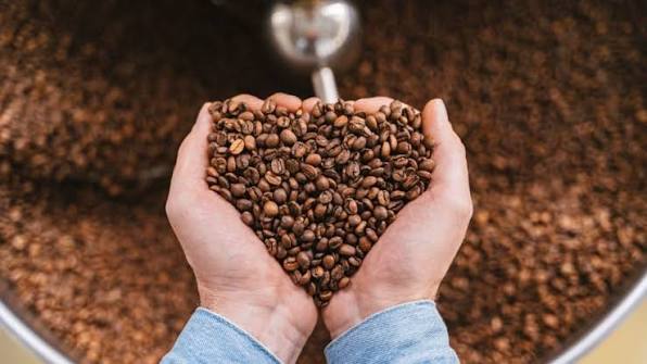 Cara Mengupas Kopi Kering dengan Tepat agar Biji Tetap Utuh