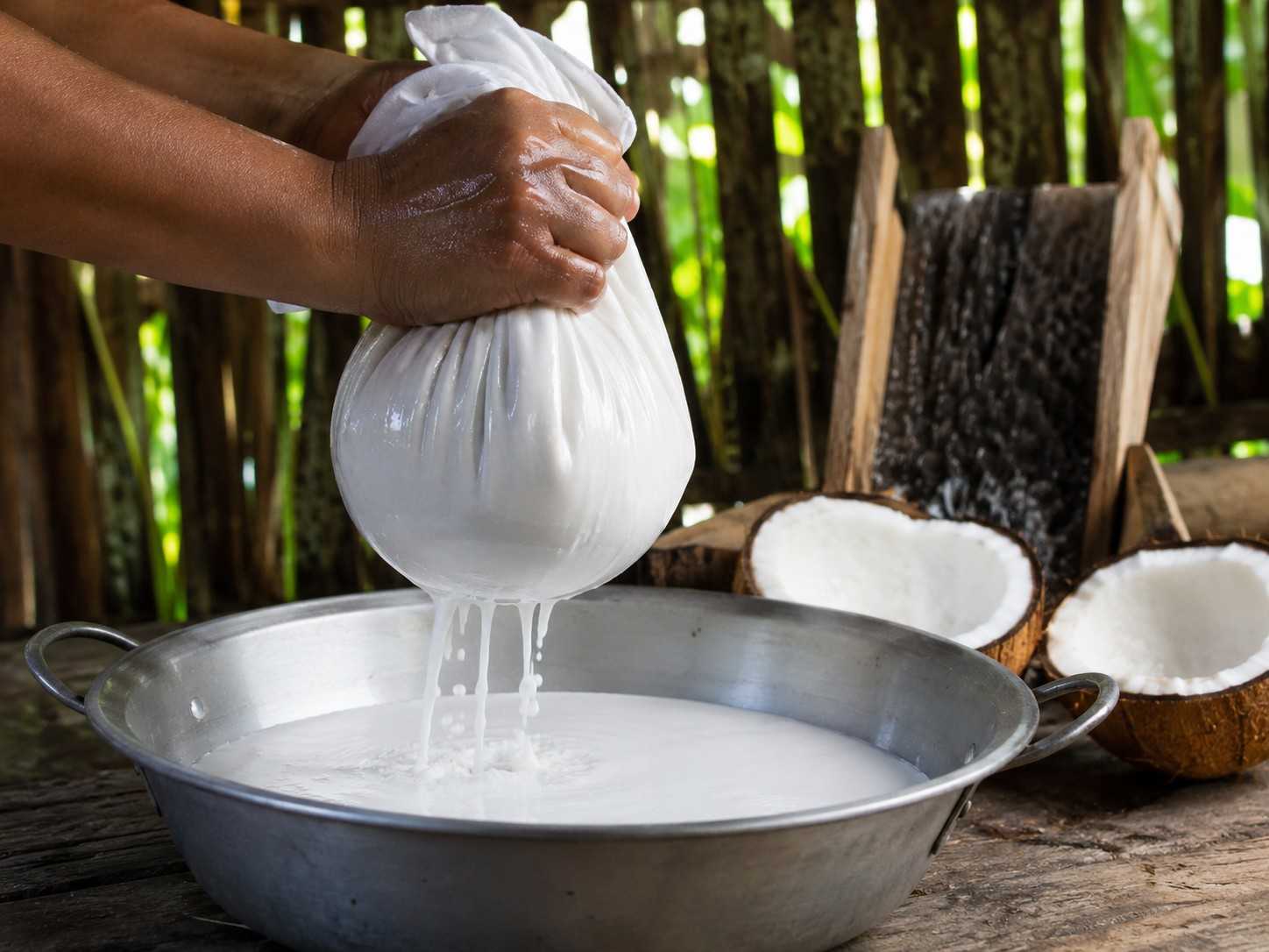 Berapa Kali Kelapa Bisa Diperas untuk Mendapatkan Santan